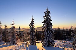Geheimtipp Winter-Wellness im Bayerischen Wald: Verborgene Schätze entdecken